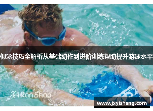 仰泳技巧全解析从基础动作到进阶训练帮助提升游泳水平