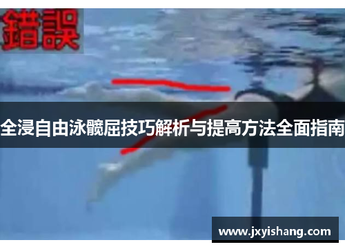 全浸自由泳髋屈技巧解析与提高方法全面指南