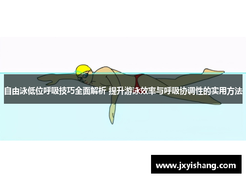 自由泳低位呼吸技巧全面解析 提升游泳效率与呼吸协调性的实用方法